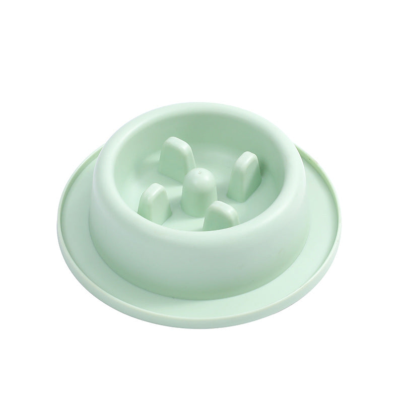 Dog & Cat Slow Feeder Bowl – Anti-Gulping Pet Food Dish
