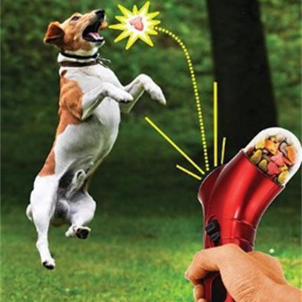 Pet Treat Launcher Toy