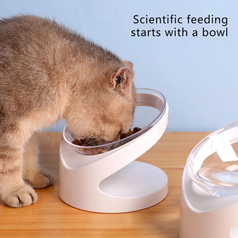 Ergonomic Pet Food Bowl – Sloped Design for Cats & Dogs