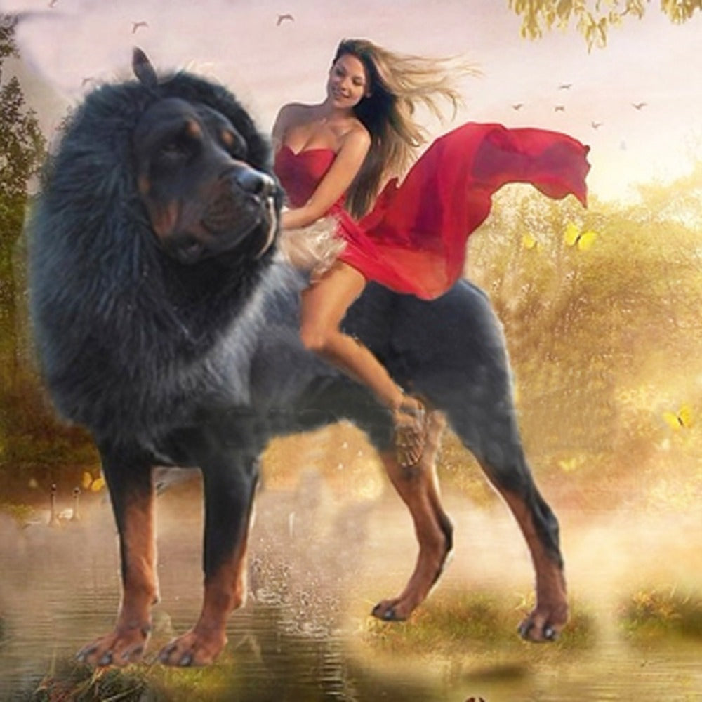 Funny Dog Lion Wig Hat – Pet Transformation Costume Headgear