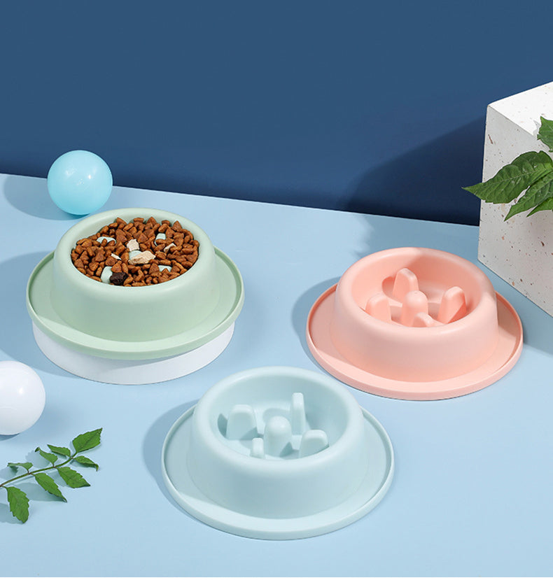 Dog & Cat Slow Feeder Bowl – Anti-Gulping Pet Food Dish