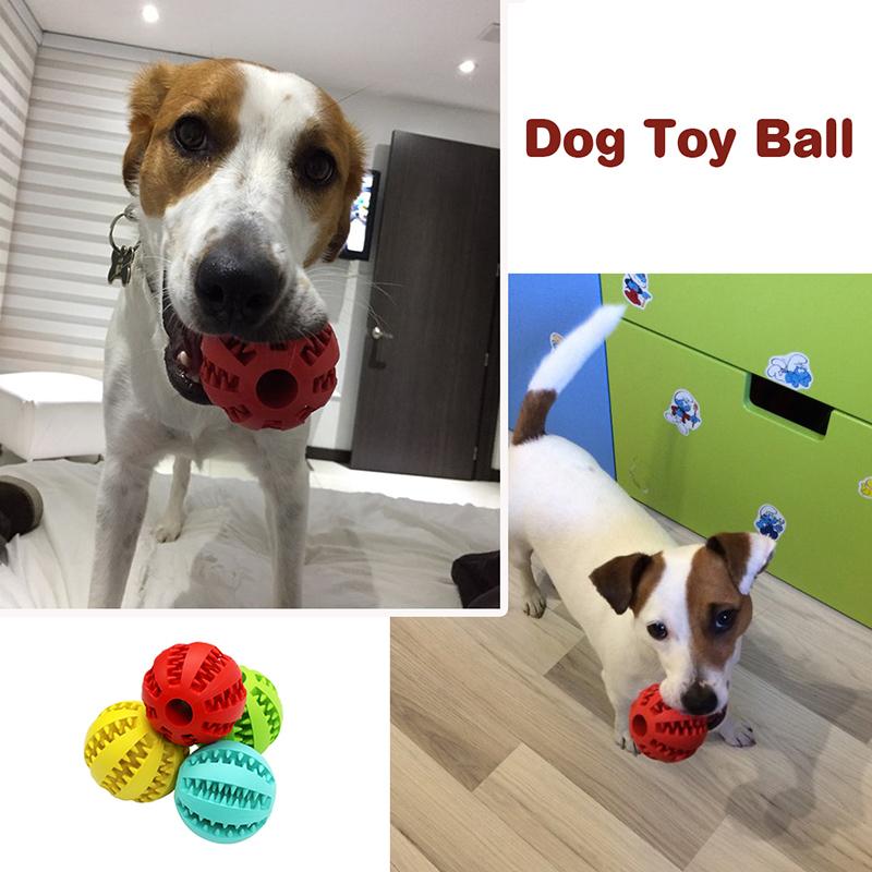 Rubber Ball Toy for Dog's – Elastic Chew & Fetch Ball