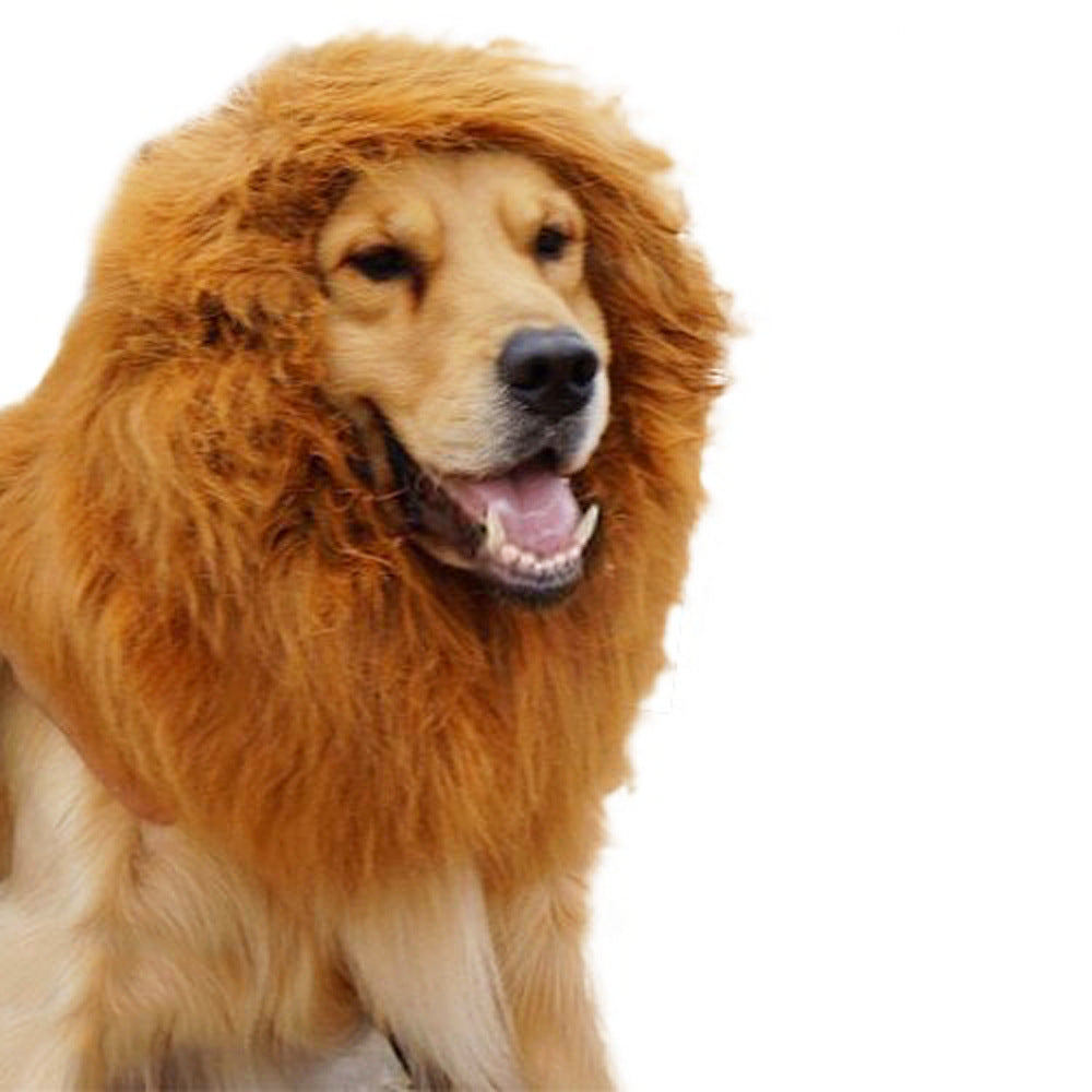 Funny Dog Lion Wig Hat – Pet Transformation Costume Headgear