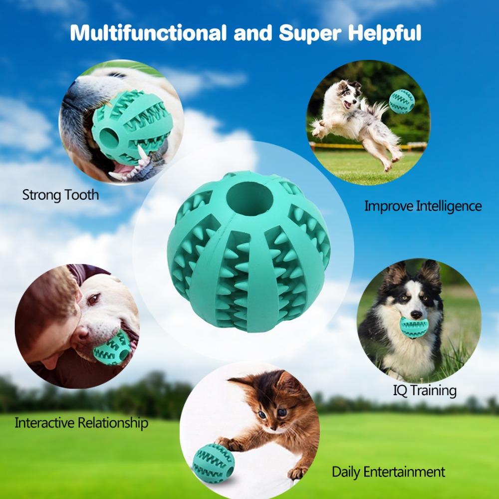 Rubber Ball Toy for Dog's – Elastic Chew & Fetch Ball