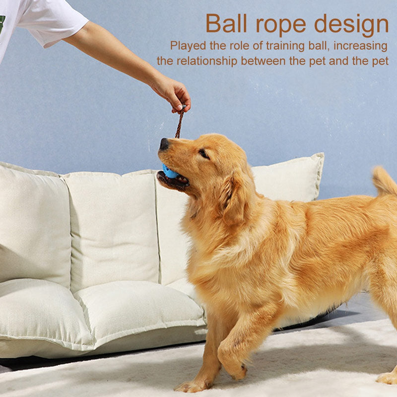 Smart Treat Dispensing Rubber Dog Ball – Dental Chew & Interactive Training Toy