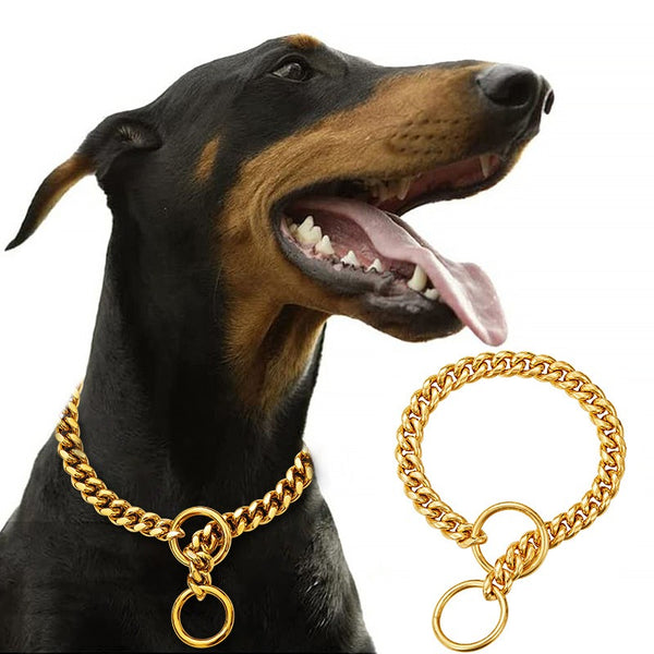 Gold Stainless Steel Dog Chain Collar – 10mm Chain Necklace