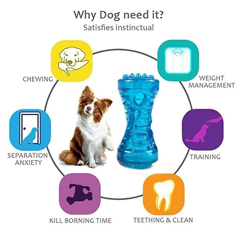 Large Rubber Dog Bone Toy – Bite-Resistant Squeaky Chew Toy