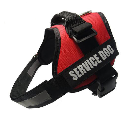 Service Dog Harness For Small, Medium & Large Dog's