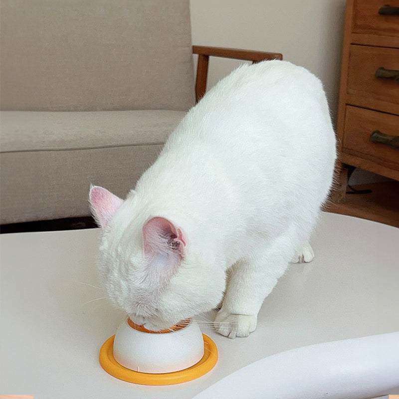 Slow Feeder Lick Bowl for Dogs & Cats