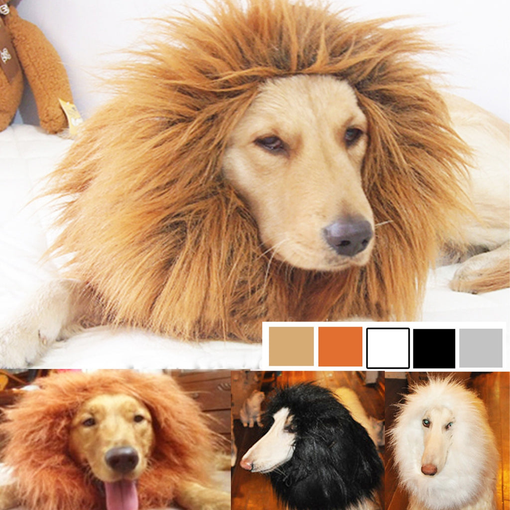 Funny Dog Lion Wig Hat – Pet Transformation Costume Headgear