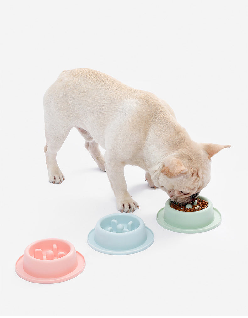 Dog & Cat Slow Feeder Bowl – Anti-Gulping Pet Food Dish