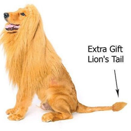 Funny Dog Lion Wig Hat – Pet Transformation Costume Headgear