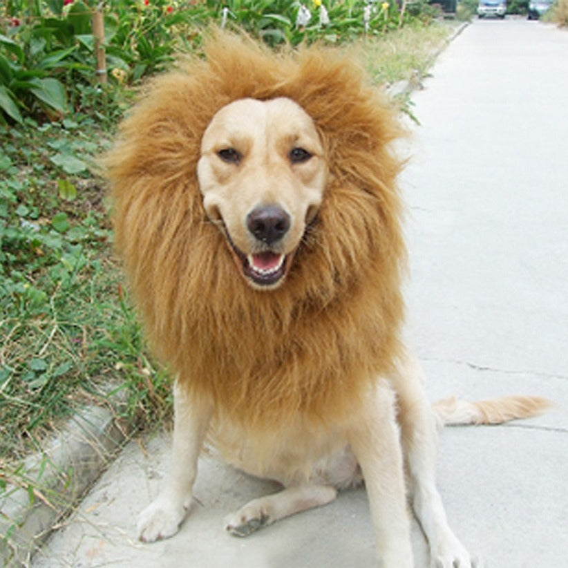 Funny Dog Lion Wig Hat – Pet Transformation Costume Headgear